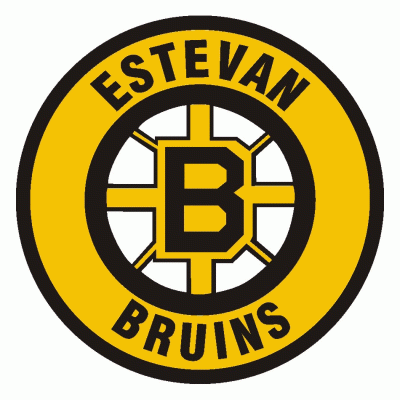 Estevan Bruins 1999-Pres Primary Logo iron on heat transfer